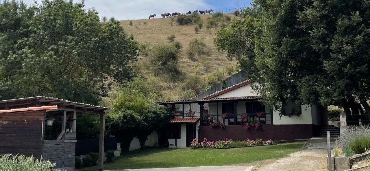 Casa rural completa en plena naturaleza Eguillor Exterior foto